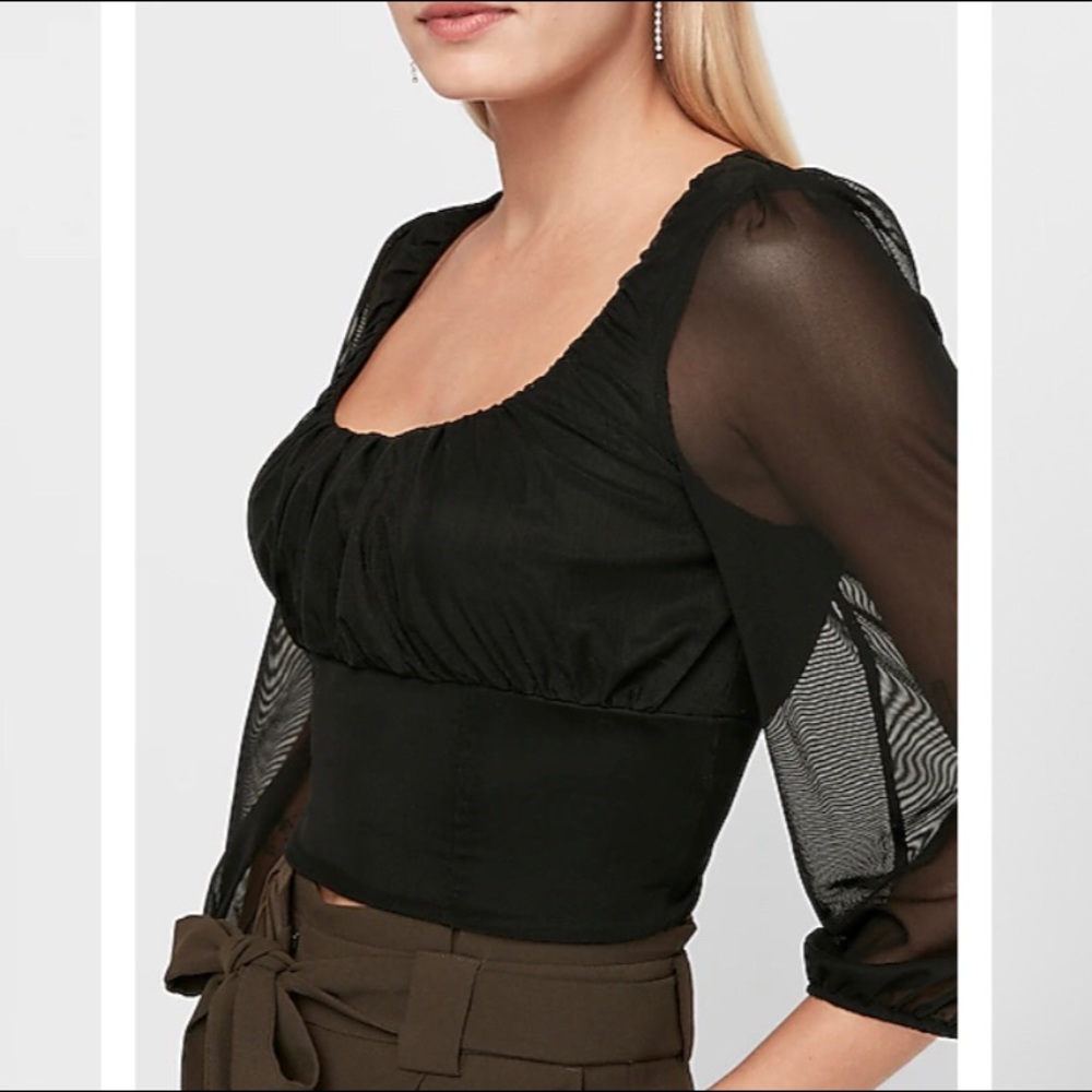 SOLD NWT Express Sheer Sleeve Crop Blouse L - Picture 1 of 5